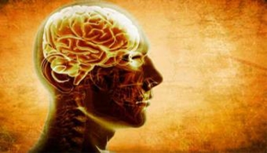 El humanismo científico y la divulgación de la ciencia como motivadora educacional