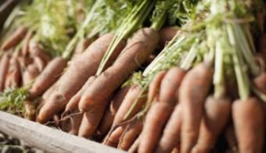 8 razones para comer zanahoria todos los días