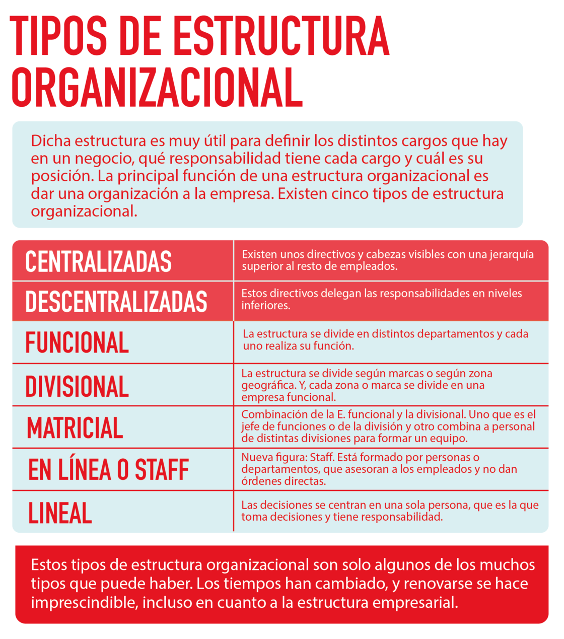 5 tipos de estructura organizacional