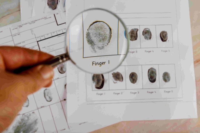 Doble grado en Psicología y Criminología: la carrera con más futuro en el ámbito judicial y social